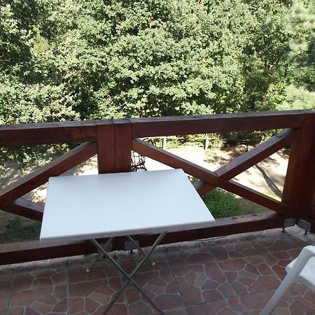 Hotel Szarvas Panzio Erdőbénye Exterior foto